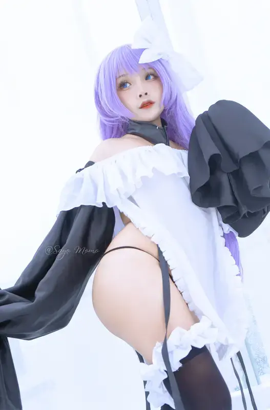 Sayo Momo - NO.008 FGO Meltryllis Maid Art Ver 18